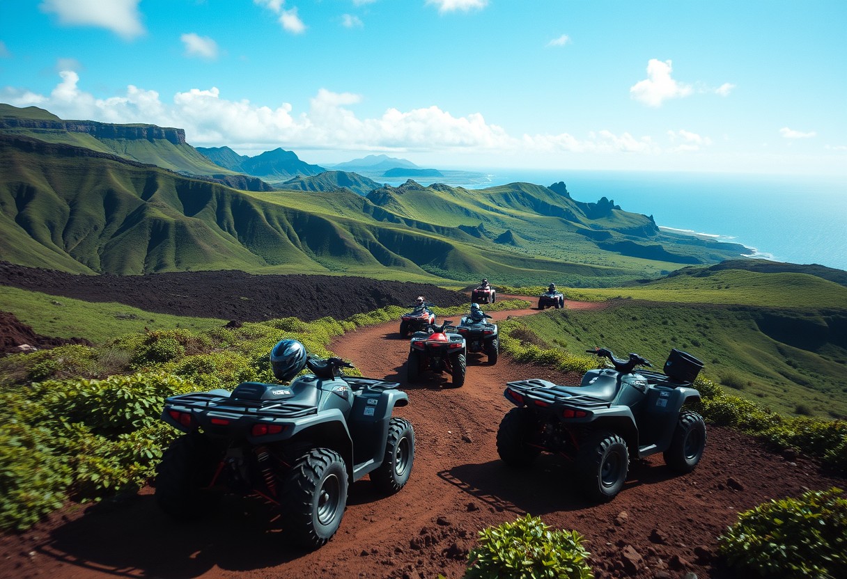 Outdoor Cats & Kittens: Risks, Diseases & How To Keep Them Safe Outdoor Cats & Kittens: Risks, Diseases & How To Keep Them Safe