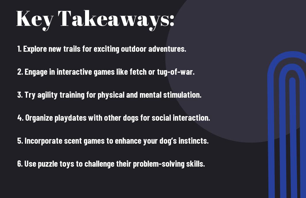10 Fun And Engaging Activities To Keep Your Dog Active