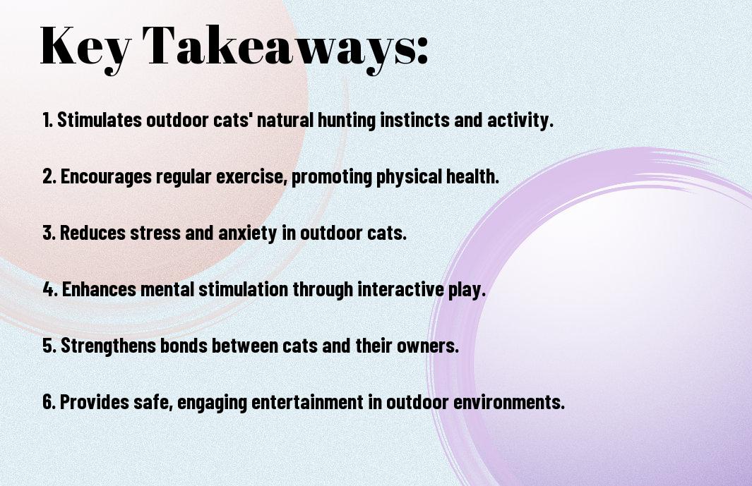 10 Benefits Of Catnip Toys For Outdoor Cats - Enhancing Playtime And Well-Being