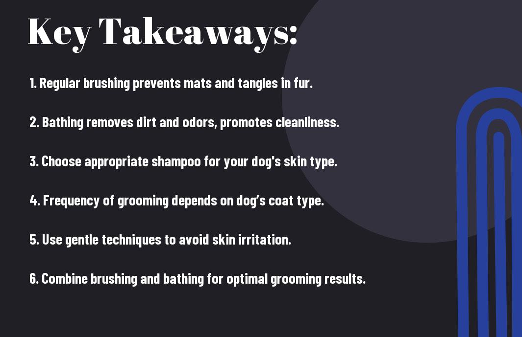Brushing Vs. Bathing - Dog Grooming 101