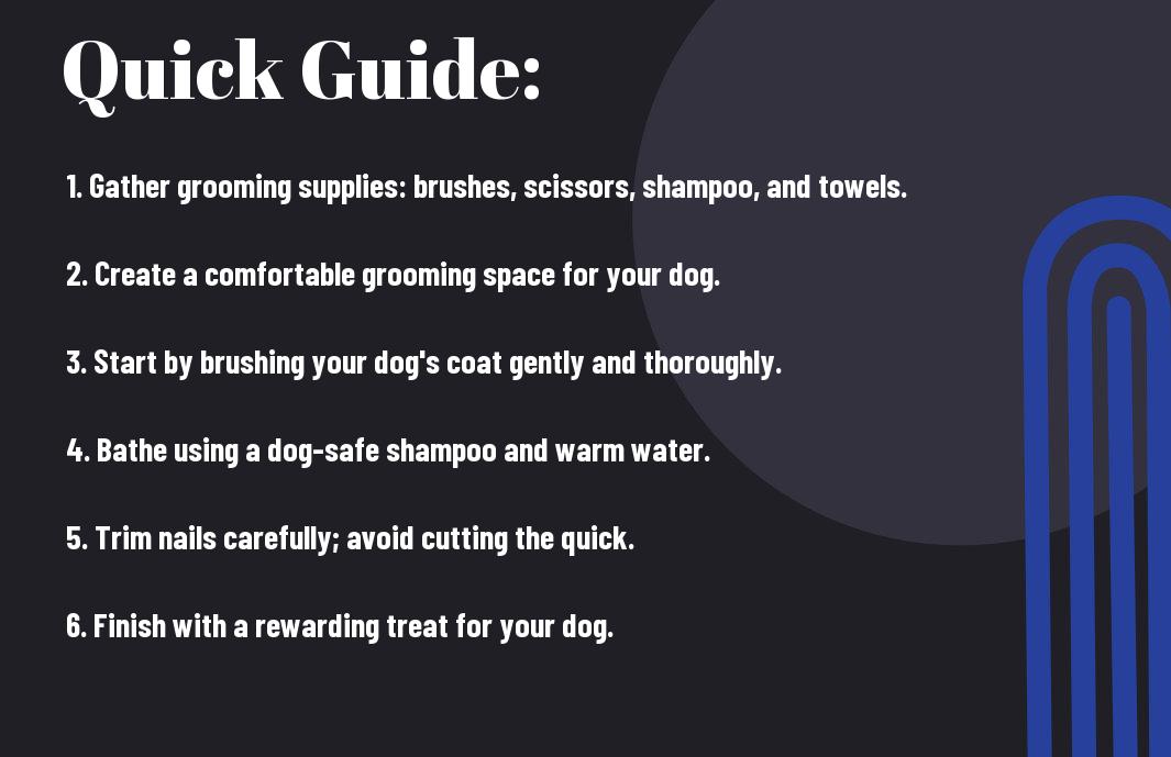 The Ultimate Guide To Dog Grooming At Home