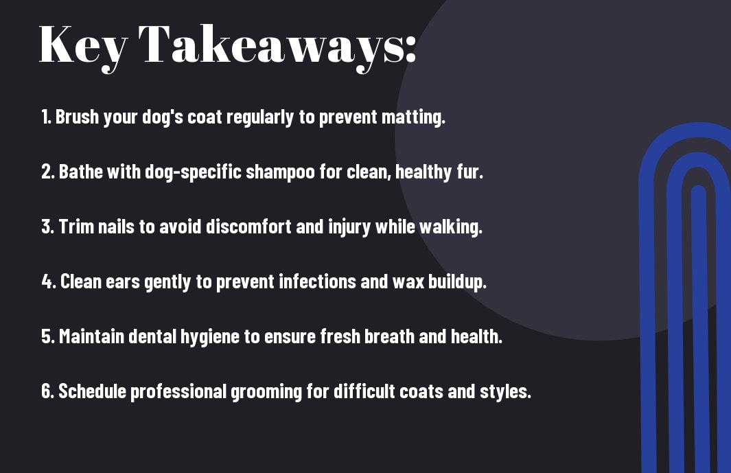 Grooming 101 - Tips For Keeping Your Dog Looking And Feeling Their Best