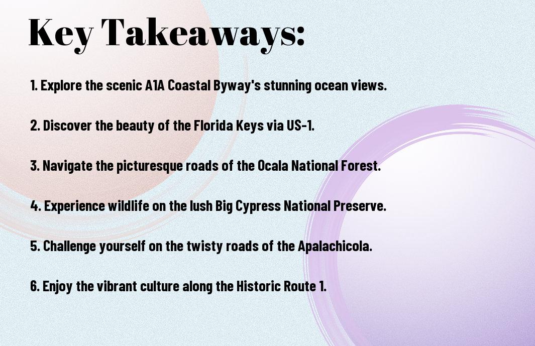 What Are The Most Enigmatic Motorcycle Routes To Explore In Florida? 1 enigmatic motorcycle routes to explore in florida wwb
