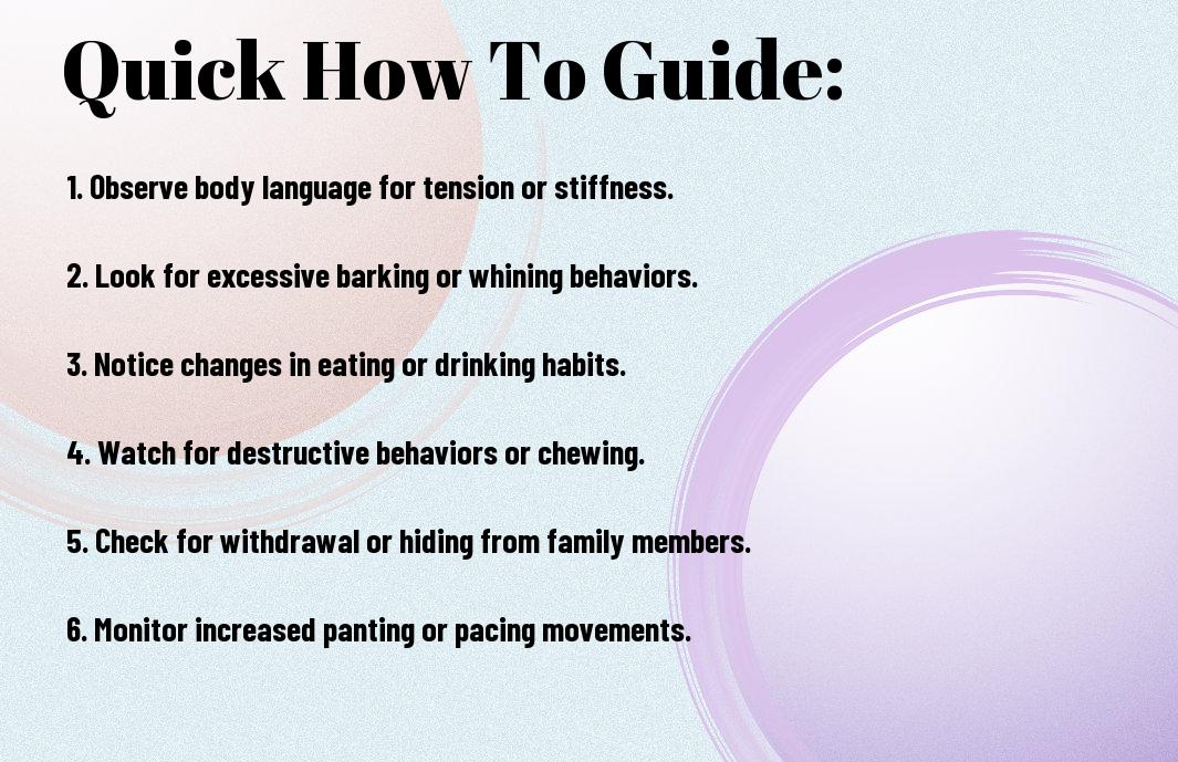 How To Recognize Signs Of Stress And Anxiety In Your Dog