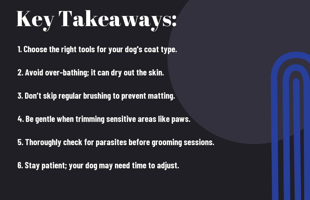 Top 10 Dog Grooming Mistakes To Avoid