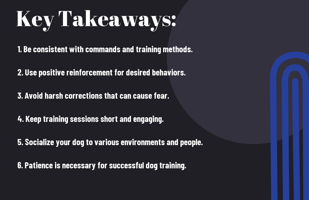 The Dos And Don' ts Of Training Your Dog